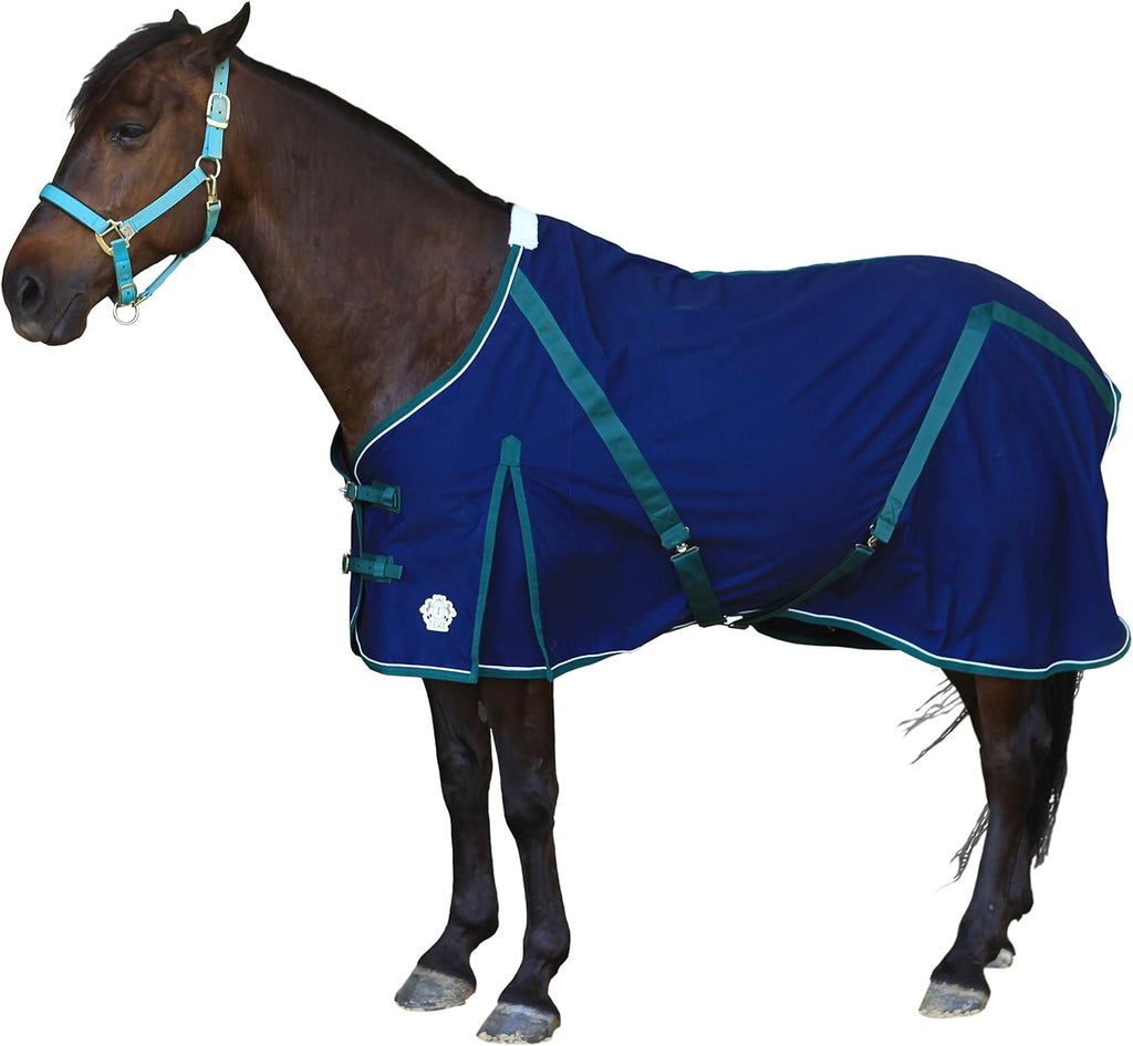 T TEKE Deluxe Horse Canvas Sheet front view on a horse in a stable.