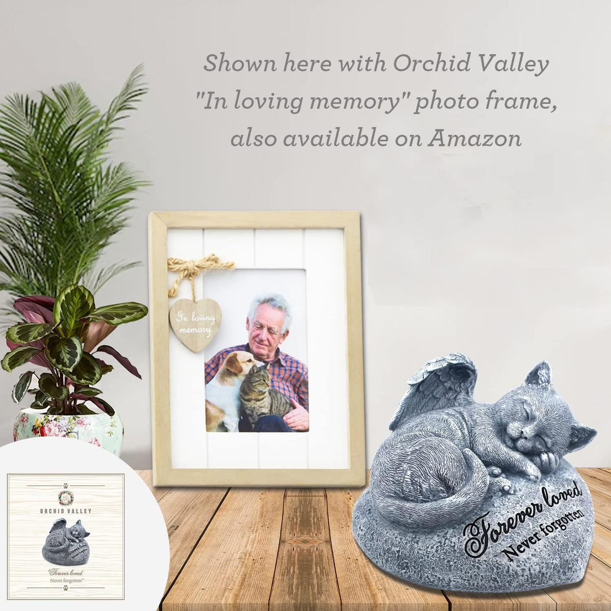 Orchid Valley sleeping cat stepping stone packaging display