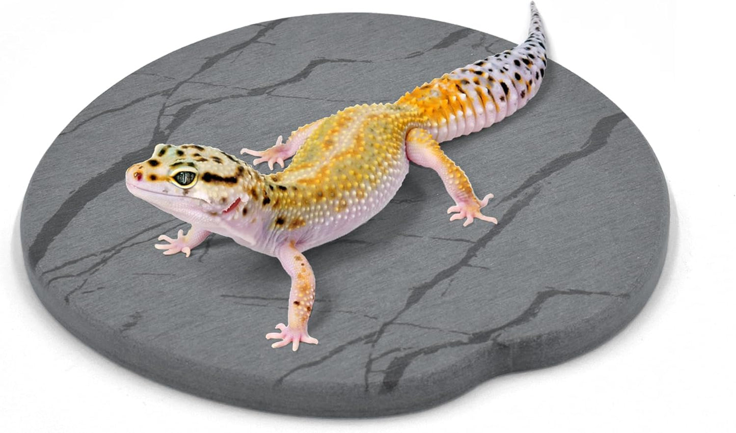 Ackeivto reptile basking platform front view in a terrarium habitat