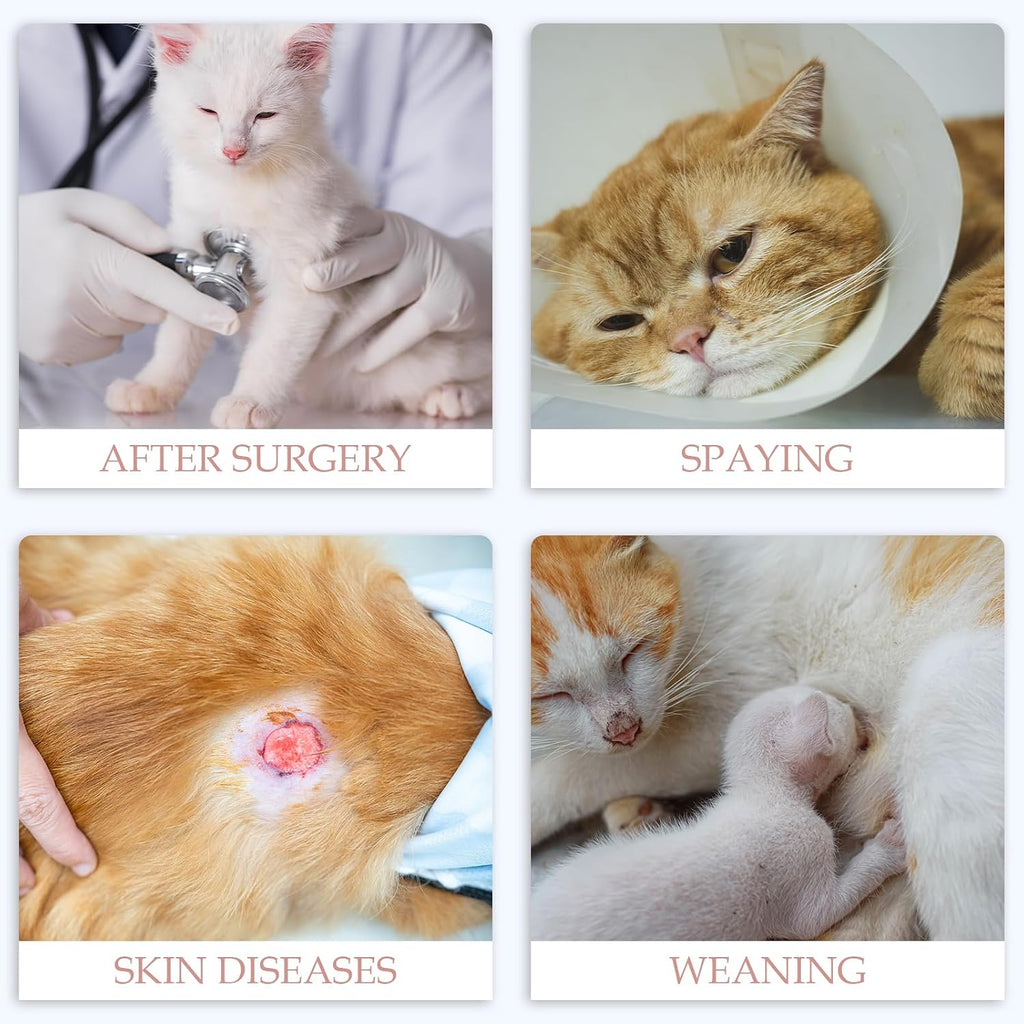 ANWA breathable kitten medical suit prevents licking surgical wounds