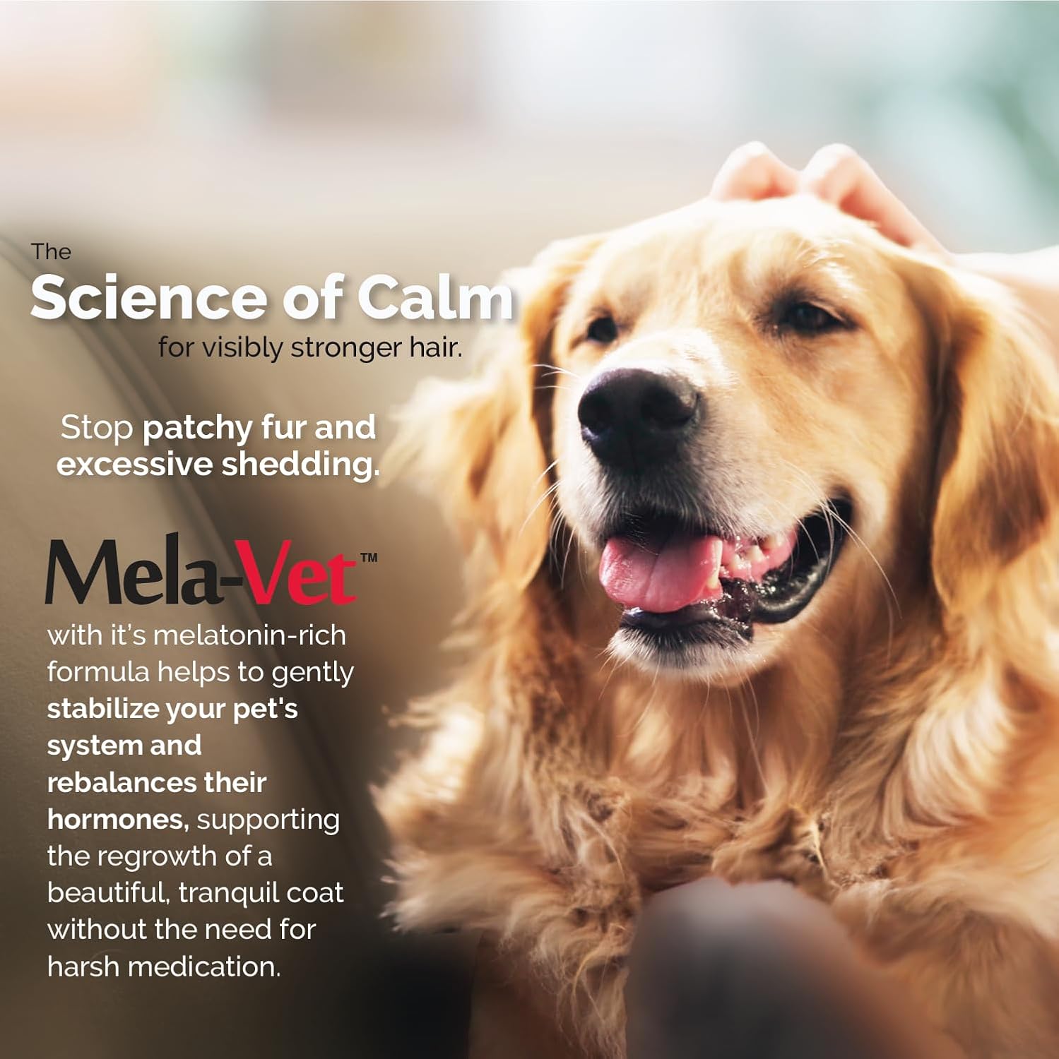 Mela-Vet melatonin supplement for dog skin and coat health support