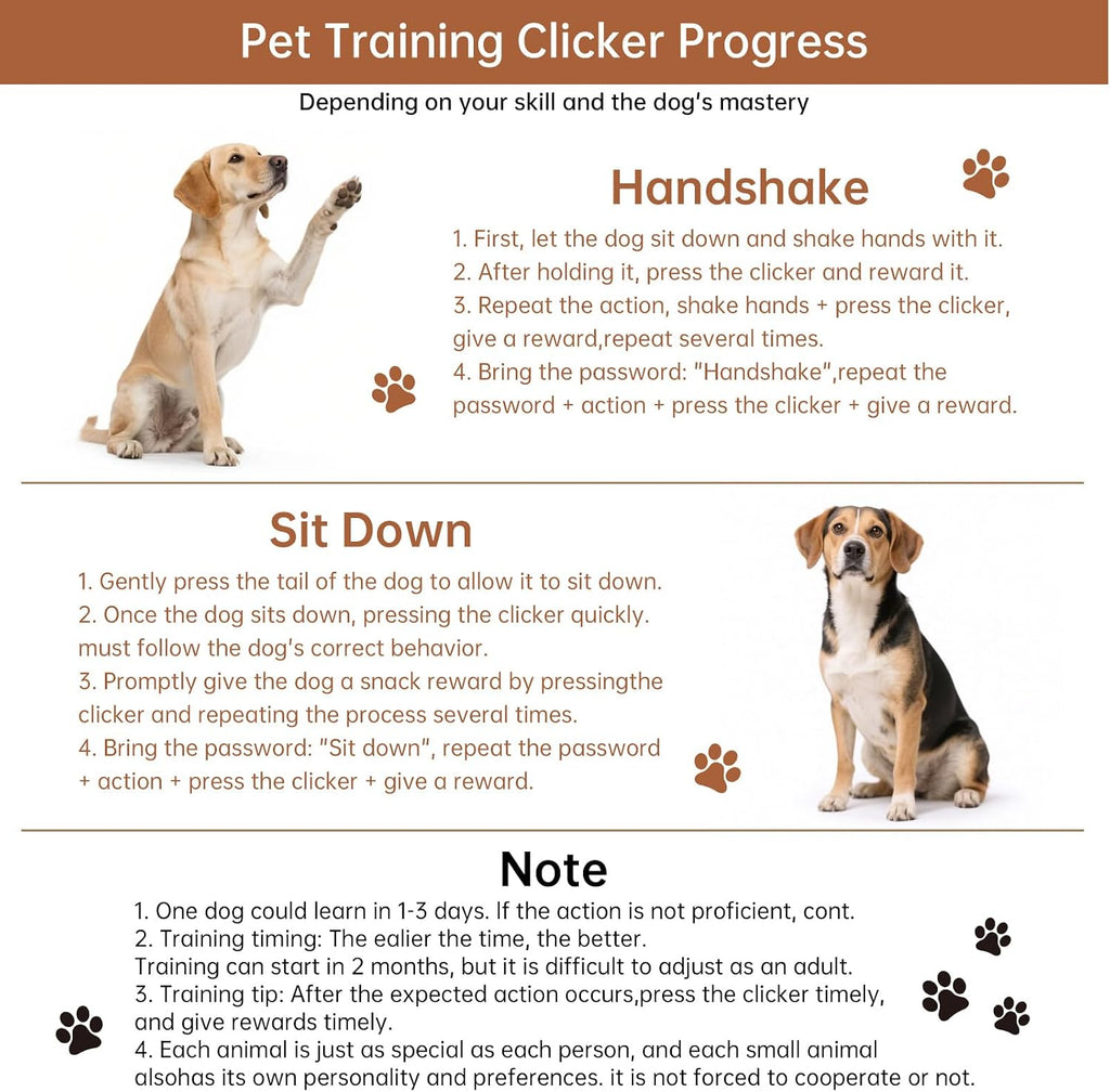 Portable pet training tool set showing different vibrant colors and wrist bands