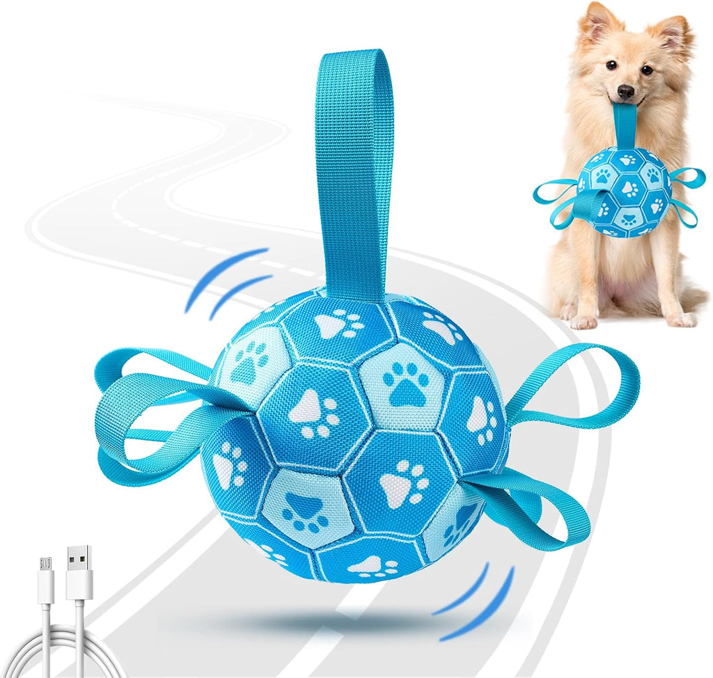Qraxond interactive automatic dog soccer ball front view in blue