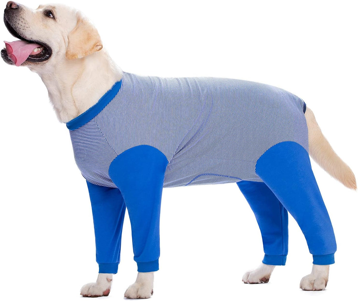 Yeapeeto authentic imported medical pet onesie package view