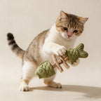 Three pieces pack of Purrident feline tooth care tool with catnip infusion