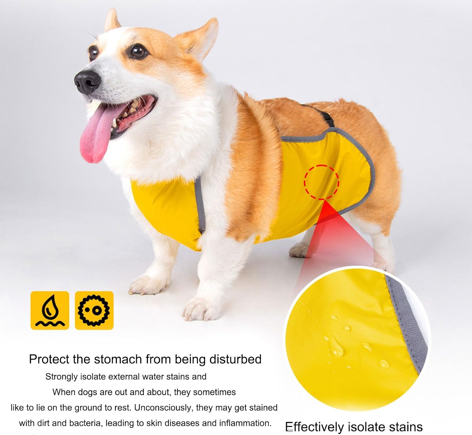Ywmsfl pet bellyband wrap for small and medium breed protection
