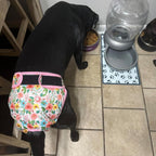 Three pack of floral pattern washable pet diapers laid flat to display sizing tabs.