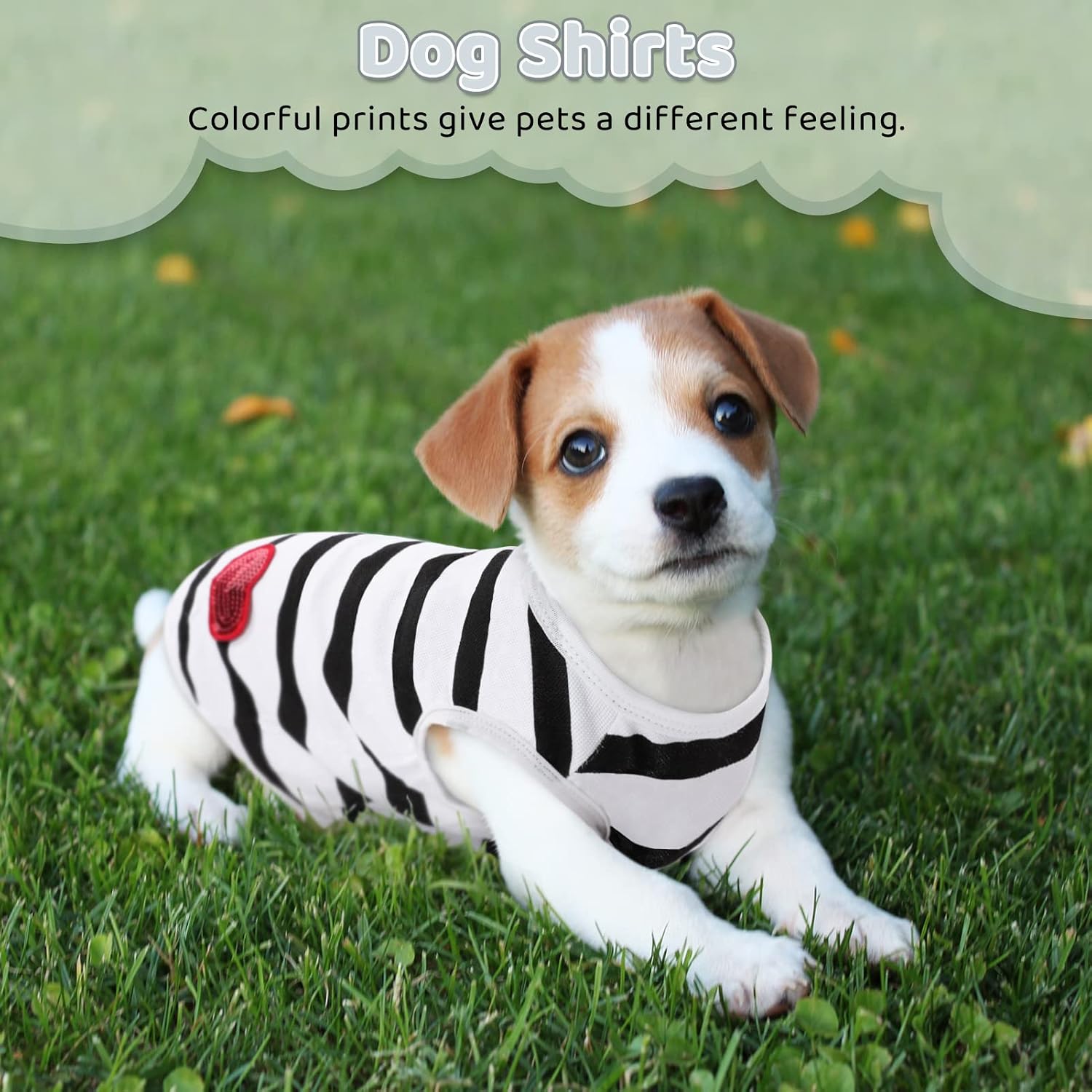Back view of Preferhouse pet apparel showing fit on dog