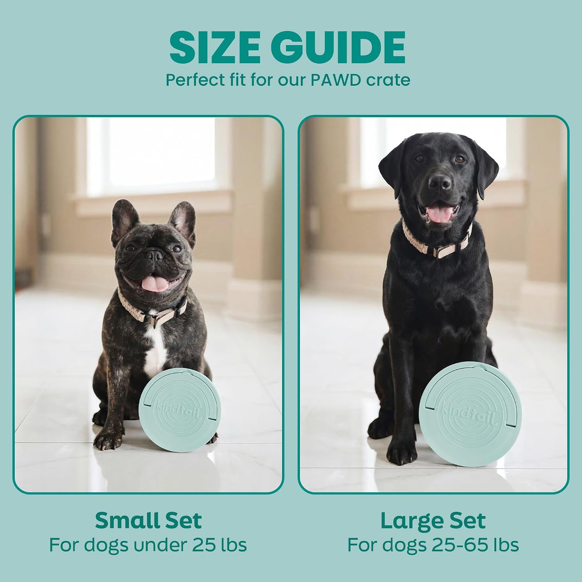 Premium leak-proof travel bowls for dogs showing the secure locking mechanism.