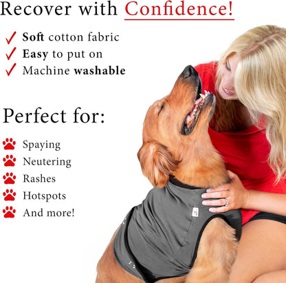 BellyGuard dog surgical clothes after spay back view snap closures detail