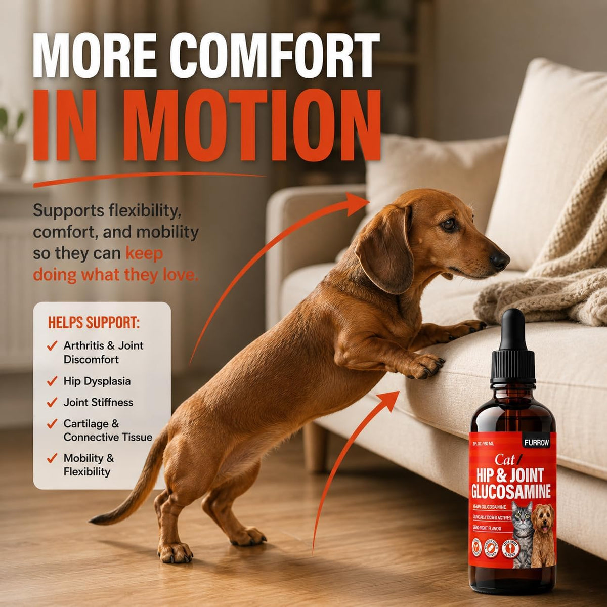 Small dog and cat enjoying food with Furrow supplement