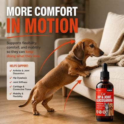 Small dog and cat enjoying food with Furrow supplement