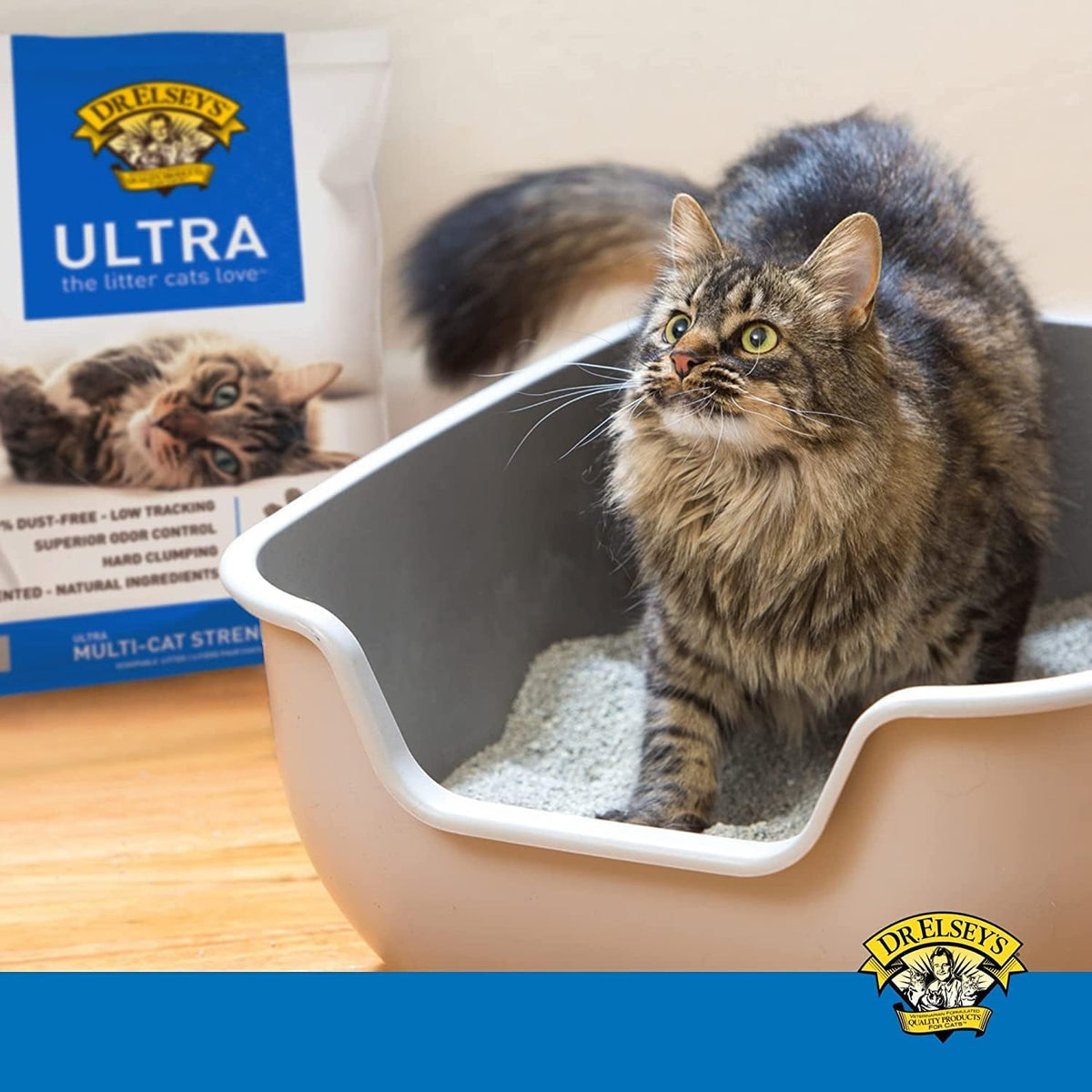 Back label displaying ingredients and veterinarian recommendations.