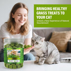 Organic wheatgrass seeds and cocopeat discs included in the pet safe kit