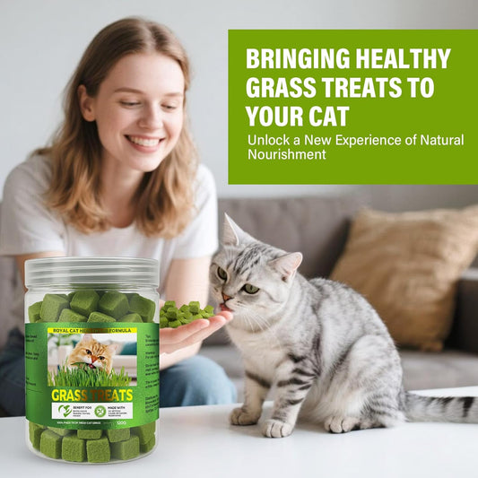 Organic wheatgrass seeds and cocopeat discs included in the pet safe kit