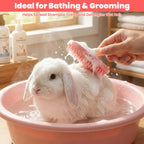 Two pieces of HekouJiub guinea pig bath and massage combs displaying different size specifications