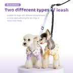 Reflective dual pet leash attachment used as a car seatbelt connector