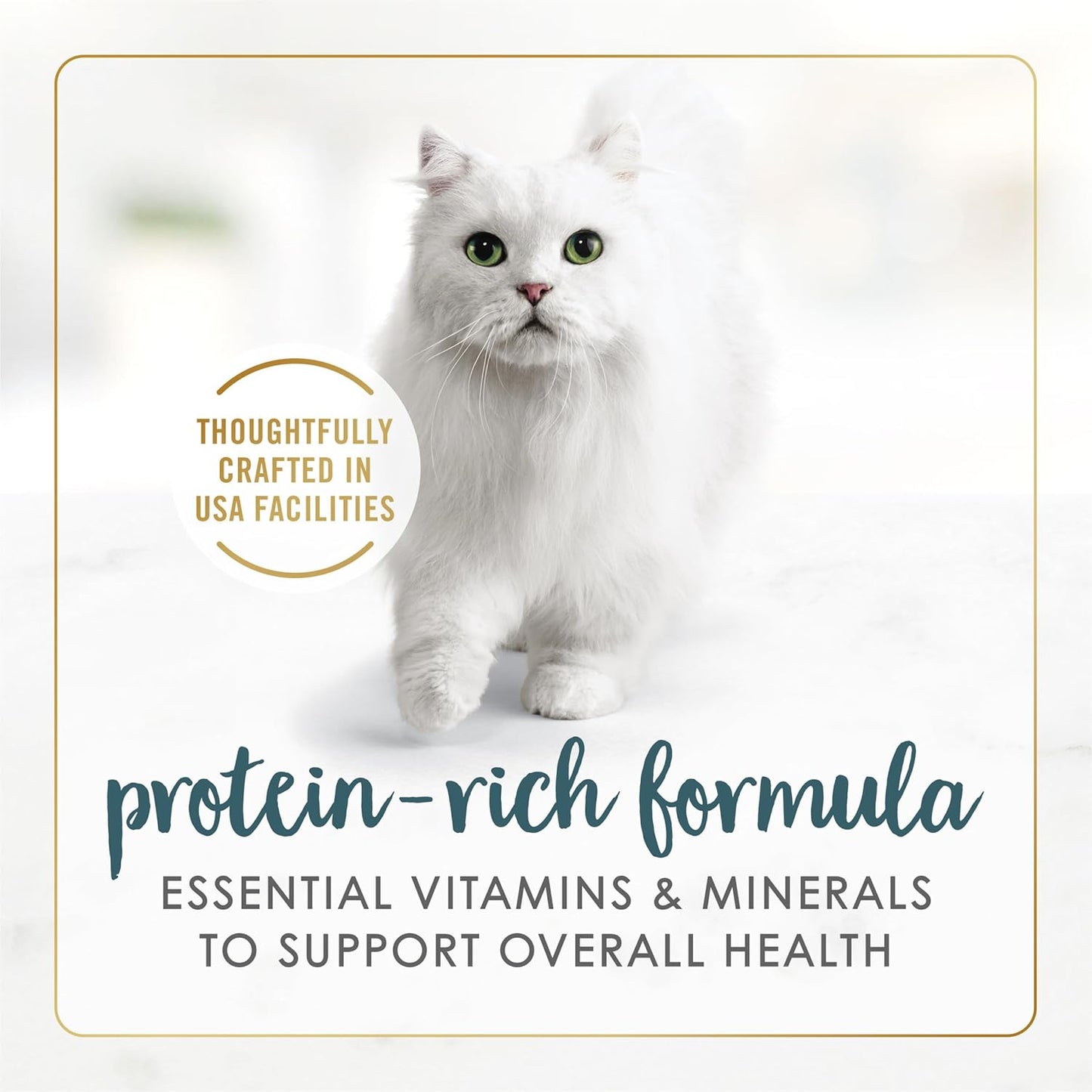 Single pull-top can of Purina Fancy Feast turkey gourmet wet cat food