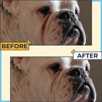 Two Pets And A Half alcohol free wrinkle wipes jar for dog tear stain removal