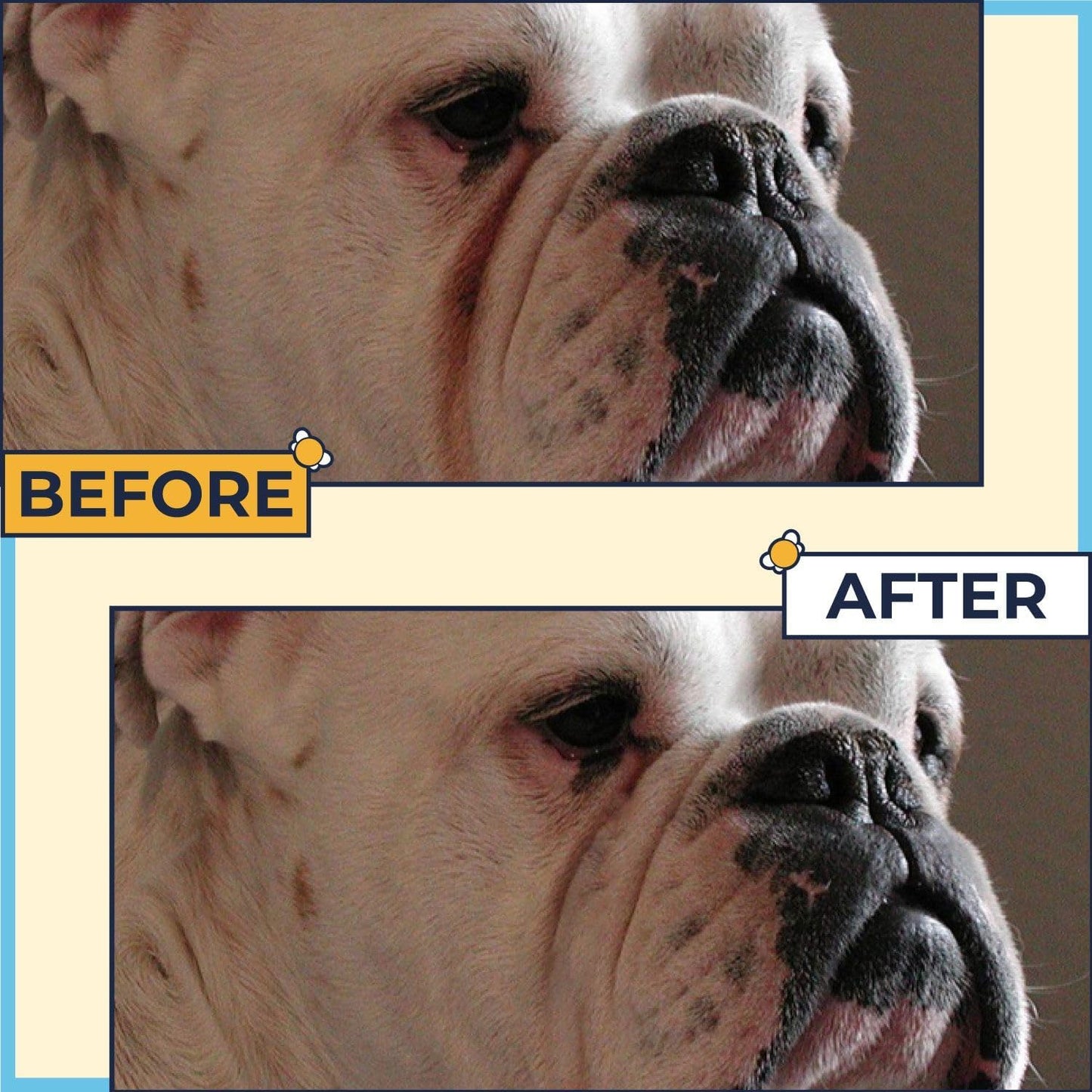 Two Pets And A Half alcohol free wrinkle wipes jar for dog tear stain removal