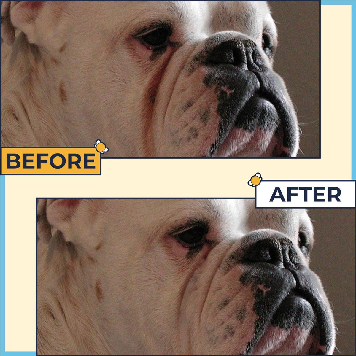 Two Pets And A Half alcohol free wrinkle wipes jar for dog tear stain removal