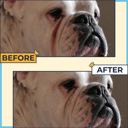 Two Pets And A Half alcohol free wrinkle wipes jar for dog tear stain removal
