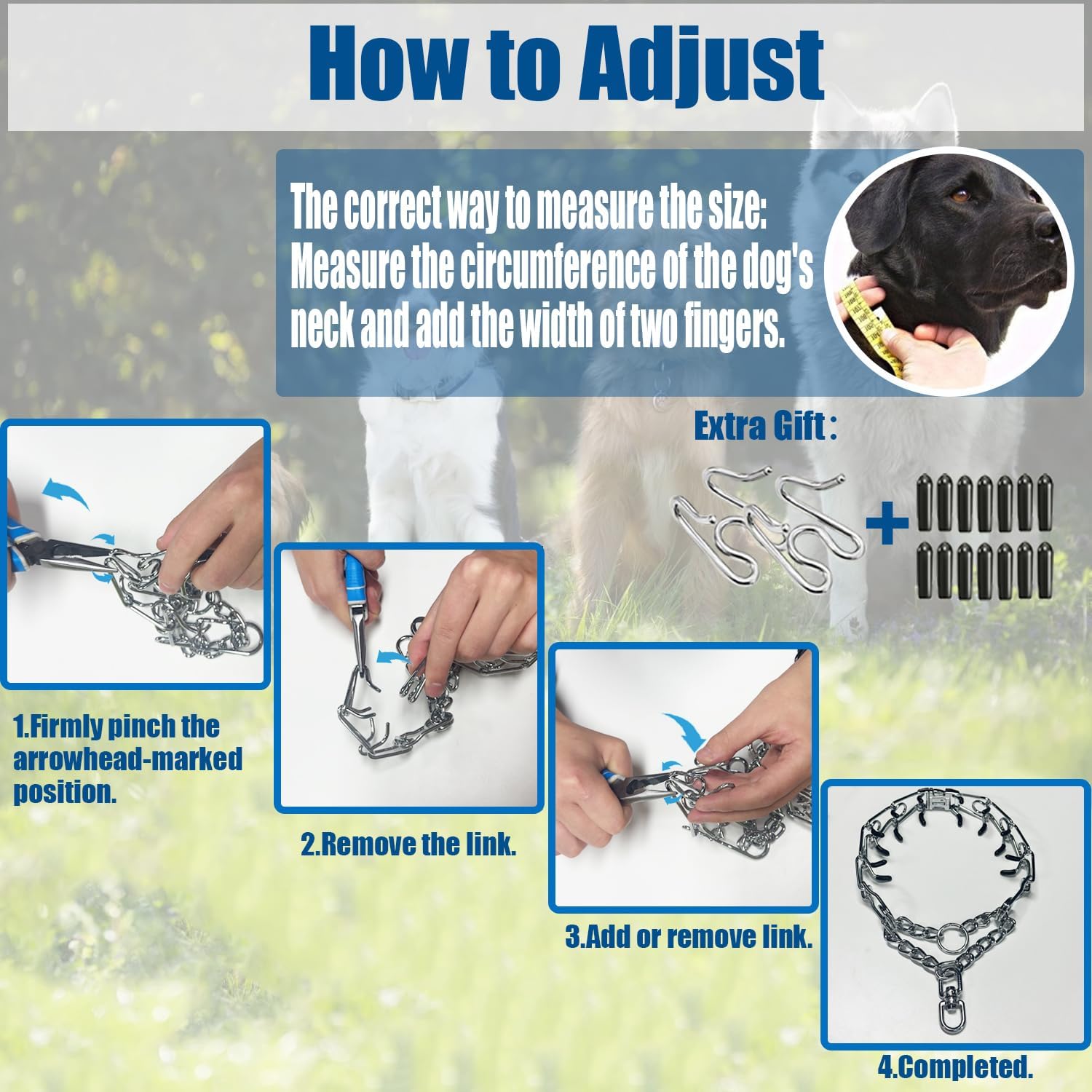The three hundred sixty degree swivel loop on the Freedom and Soul dog collar demonstrating tangle free leash attachment.