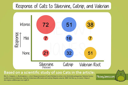 Close up view of premium silvervine powder granules for cat toy refreshment