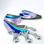 Durable large dog leash four feet long royal blue color close up