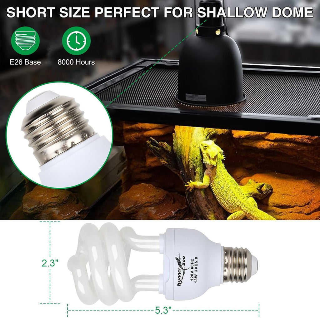 Compact fluorescent reptile bulb installed in a terrarium dome
