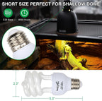 Compact fluorescent reptile bulb installed in a terrarium dome