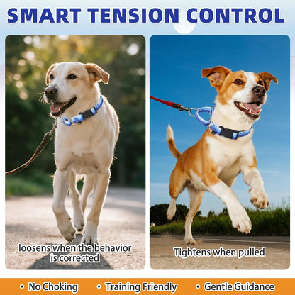 Heavy duty metal hardware on Kooltail dog collar