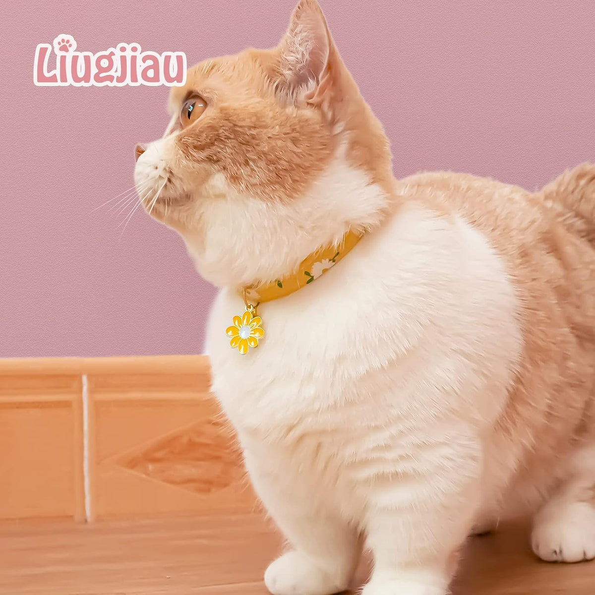 Green snowflake design kitten collar with protective rounded edge safety clip.