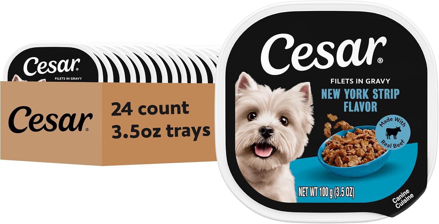 Cesar Filets in Gravy Adult Wet Dog Food Filet Mignon Flavor, 3.5 oz. Easy Peel Dog Food Tray, 24 Count (Pack of 1) - Image 14