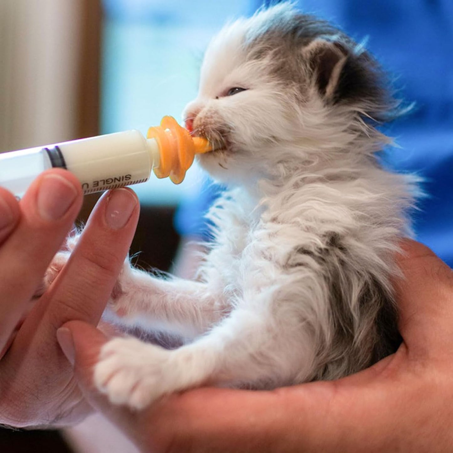 Safe whelping station supplies featuring specialized syringes for orphaned newborn cats and dogs.