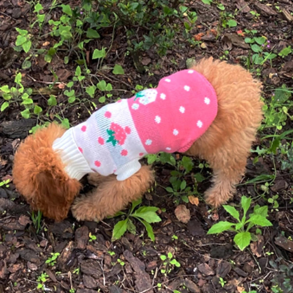 Side profile of the pink knitwear puppy apparel showcasing the flexible leg openings.