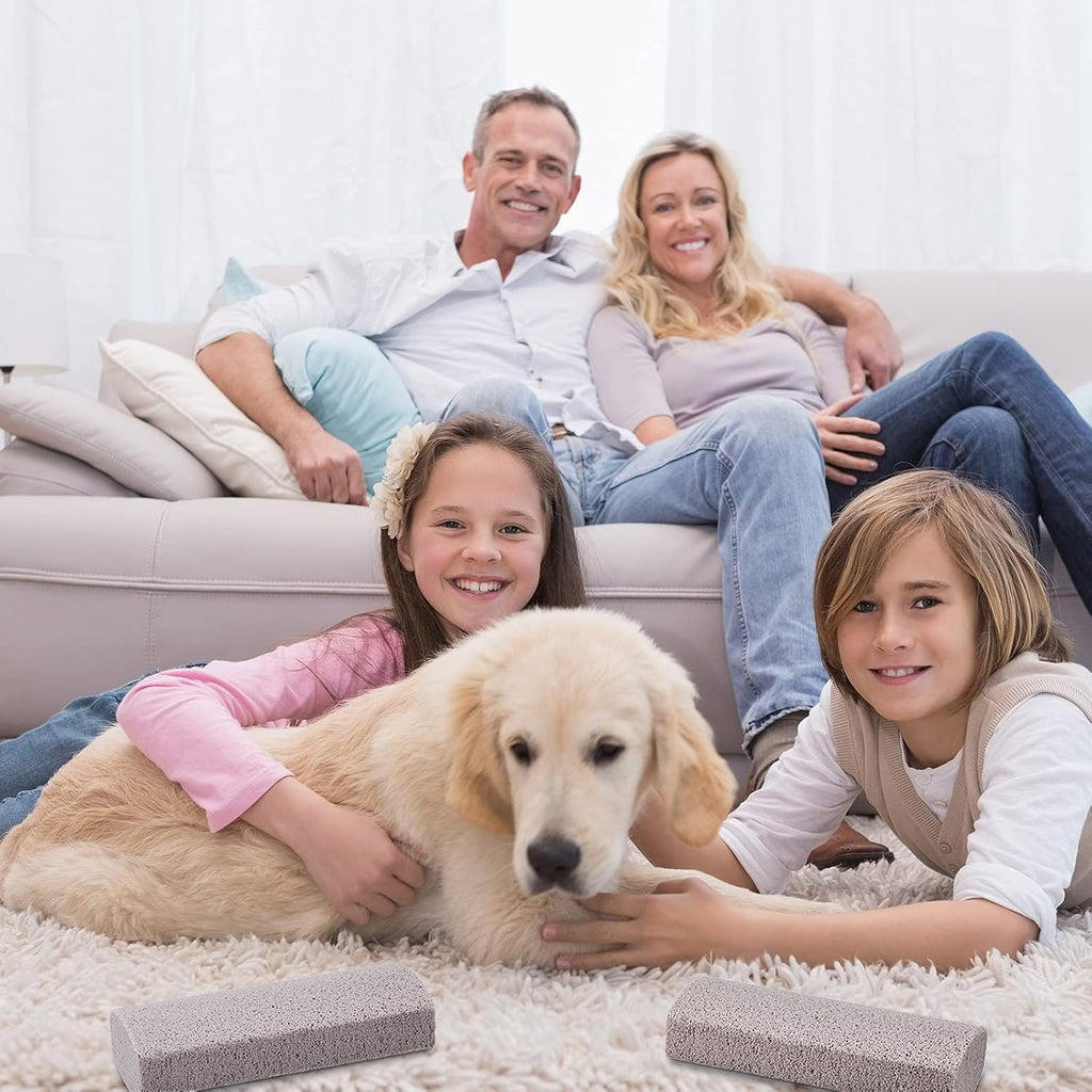 Using Xuniea pet hair remover on a living room couch