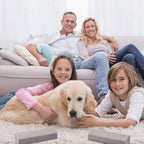 Using Xuniea pet hair remover on a living room couch