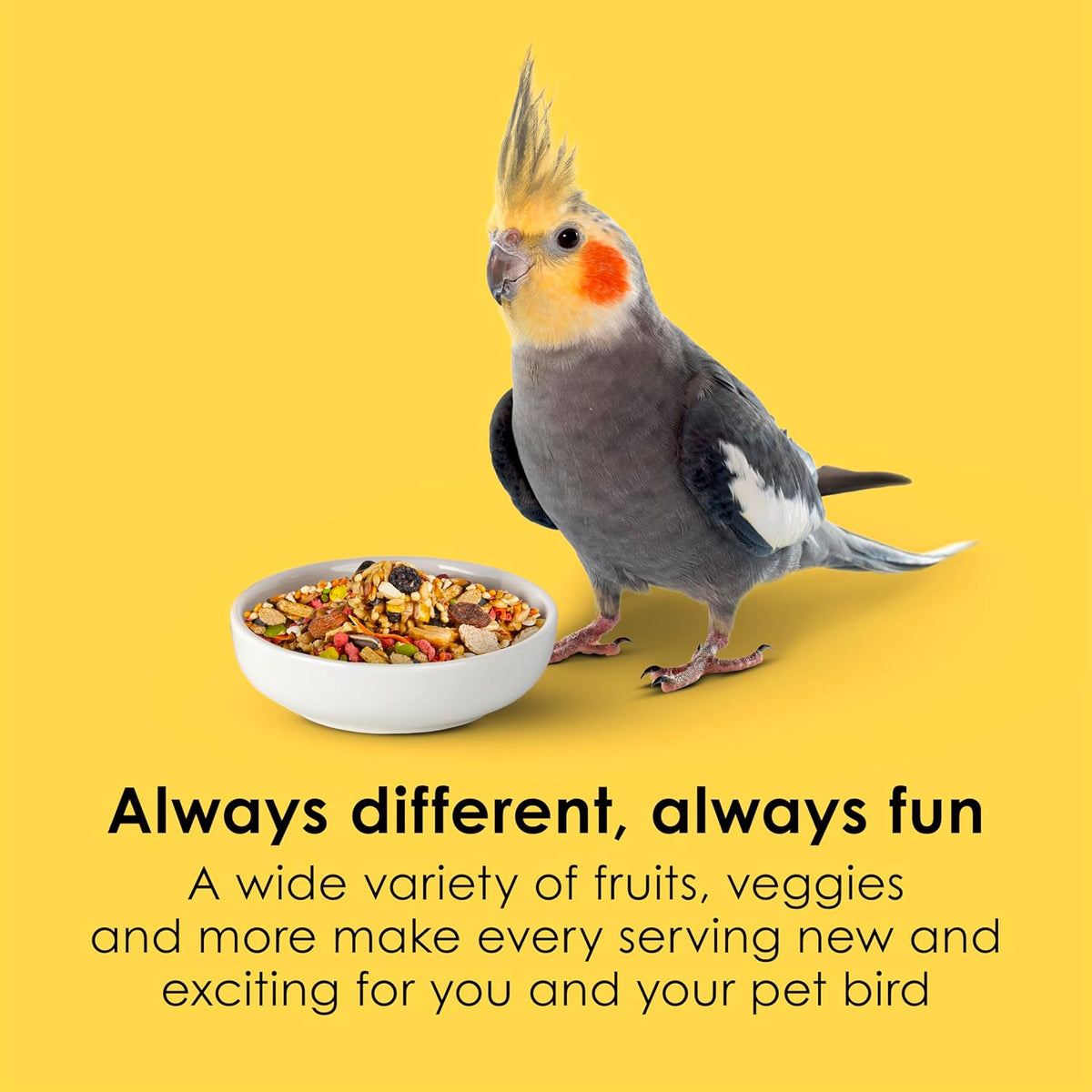 Back of Kaytee Fiesta Cockatiel bag showing nutritional information.