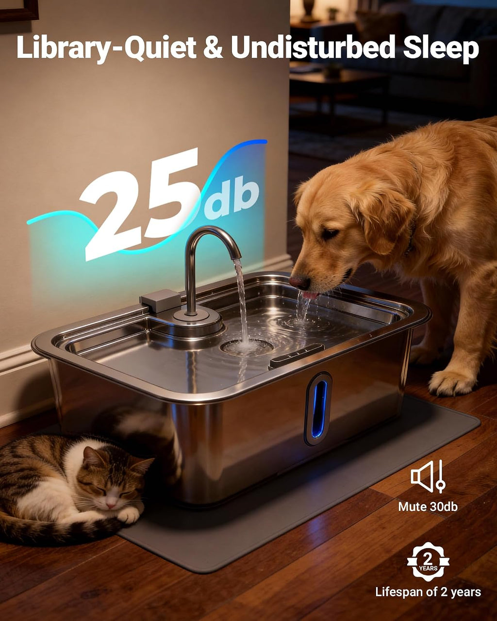DeftPet water fountain with silicone mat on floor