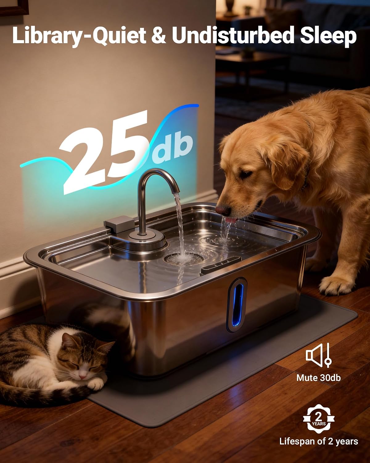DeftPet water fountain with silicone mat on floor