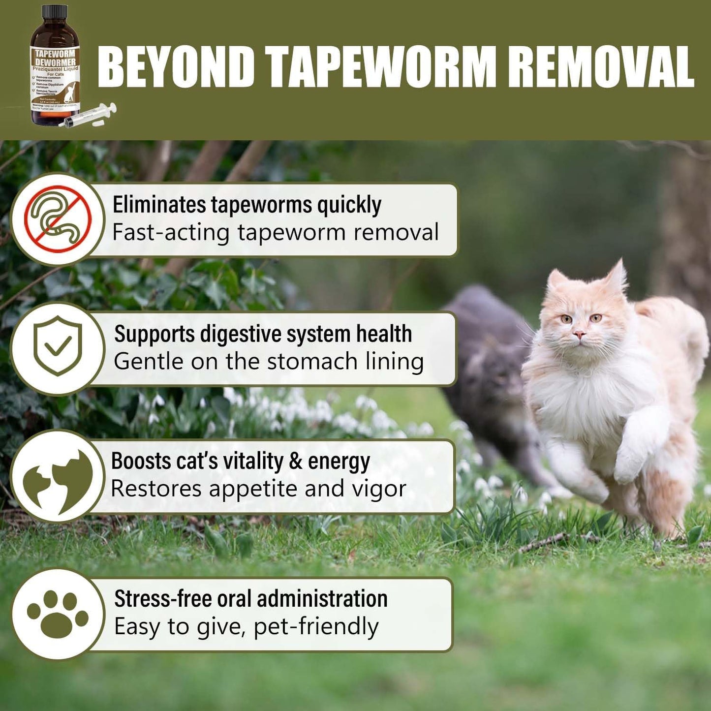 VetaSure cat dewormer oral drops showing amber glass bottle