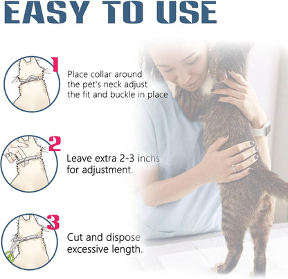 Included flea comb and tweezers for cat grooming