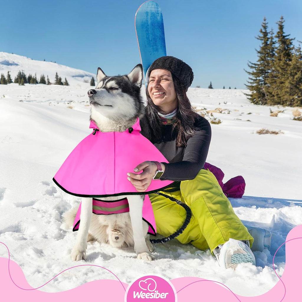 Protective weatherproof outerwear for dogs imported directly from the United States