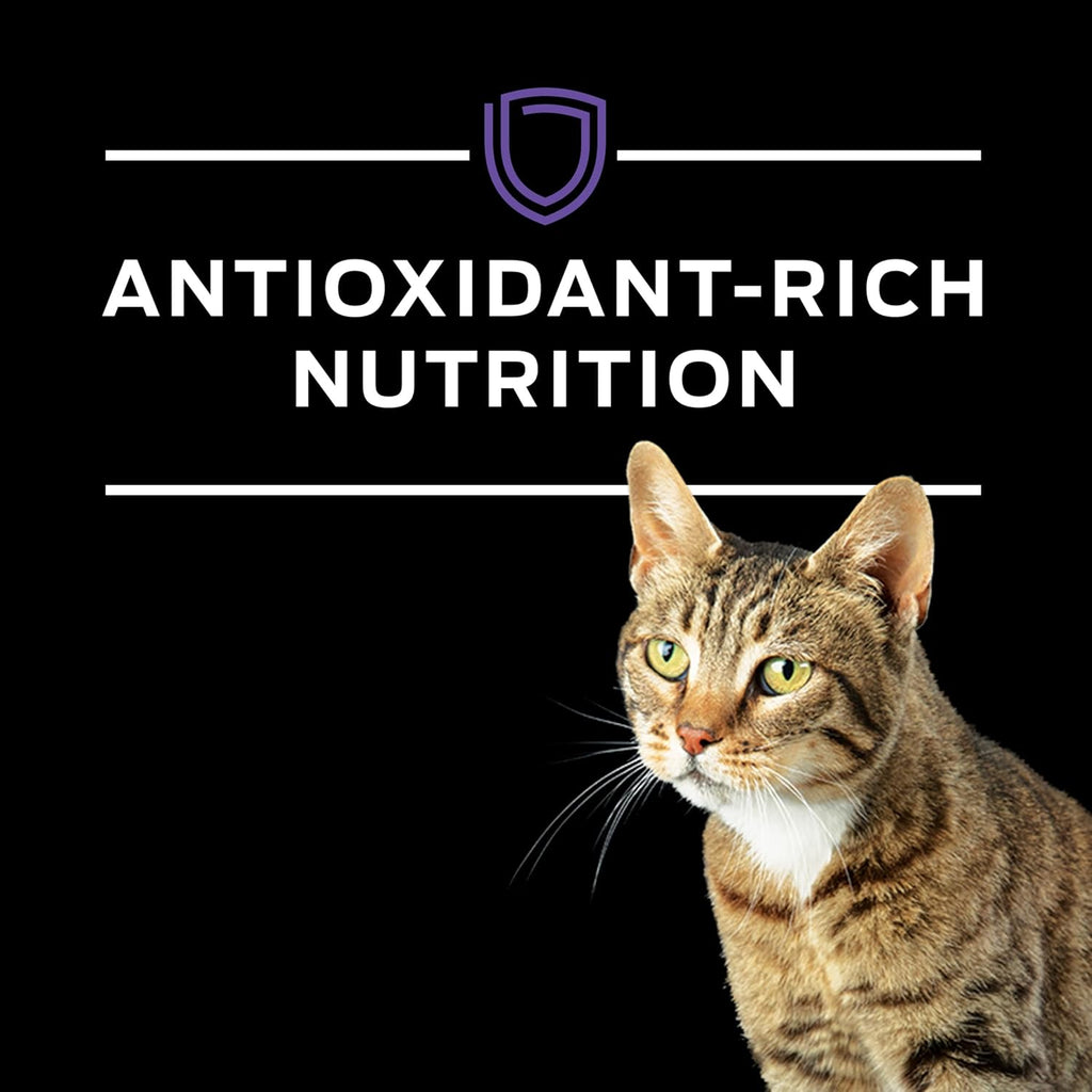 Pro Plan Veterinary Diets Purina DM Dietetic Management Feline Formula Dry Cat Food - 10 lb. Bag - Image 9