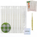 Vie Healing 24K Gold Ear Seeds Kit front view showing packaging and pieces