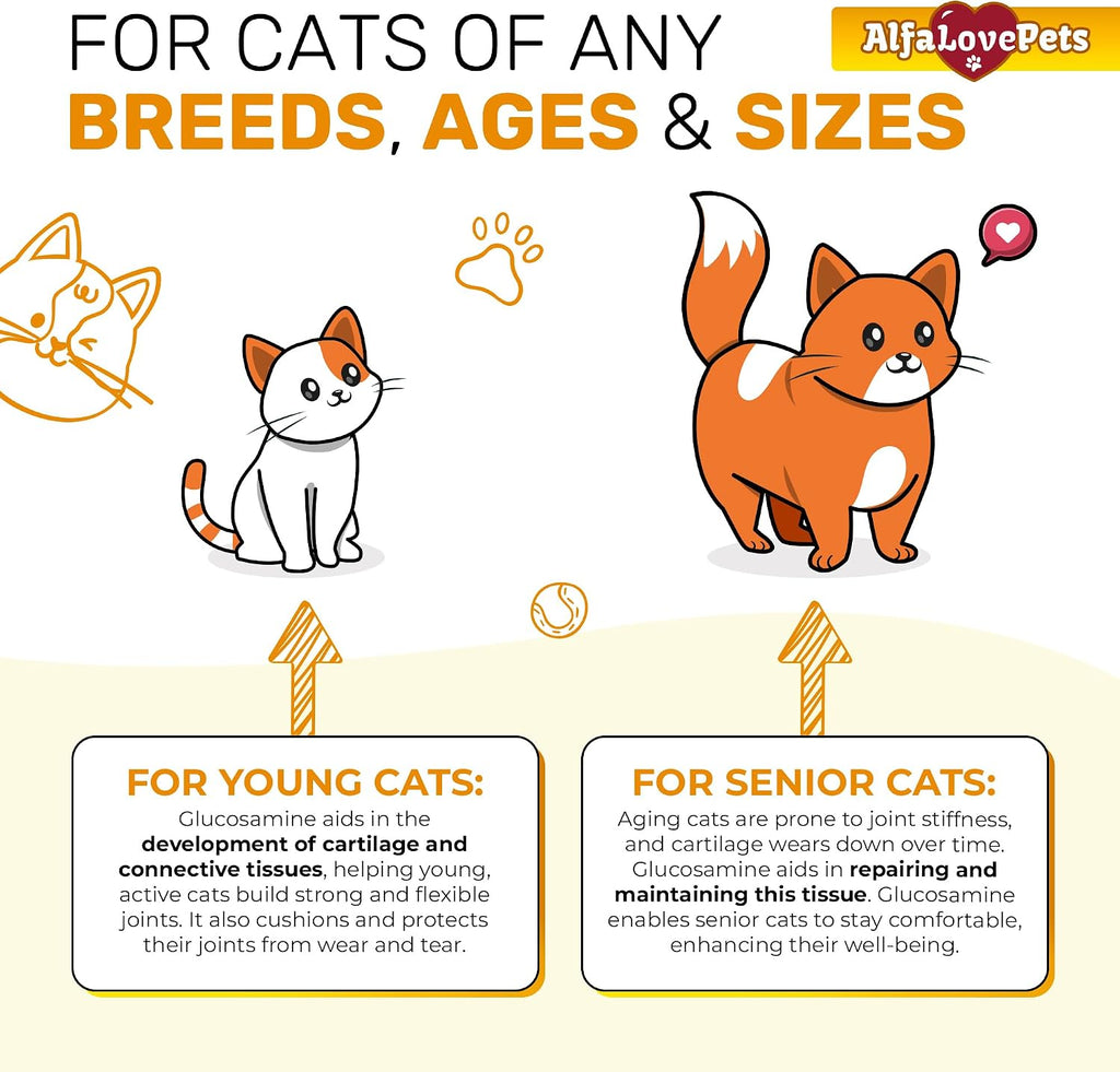 Natural chicken flavored joint supplement for cats