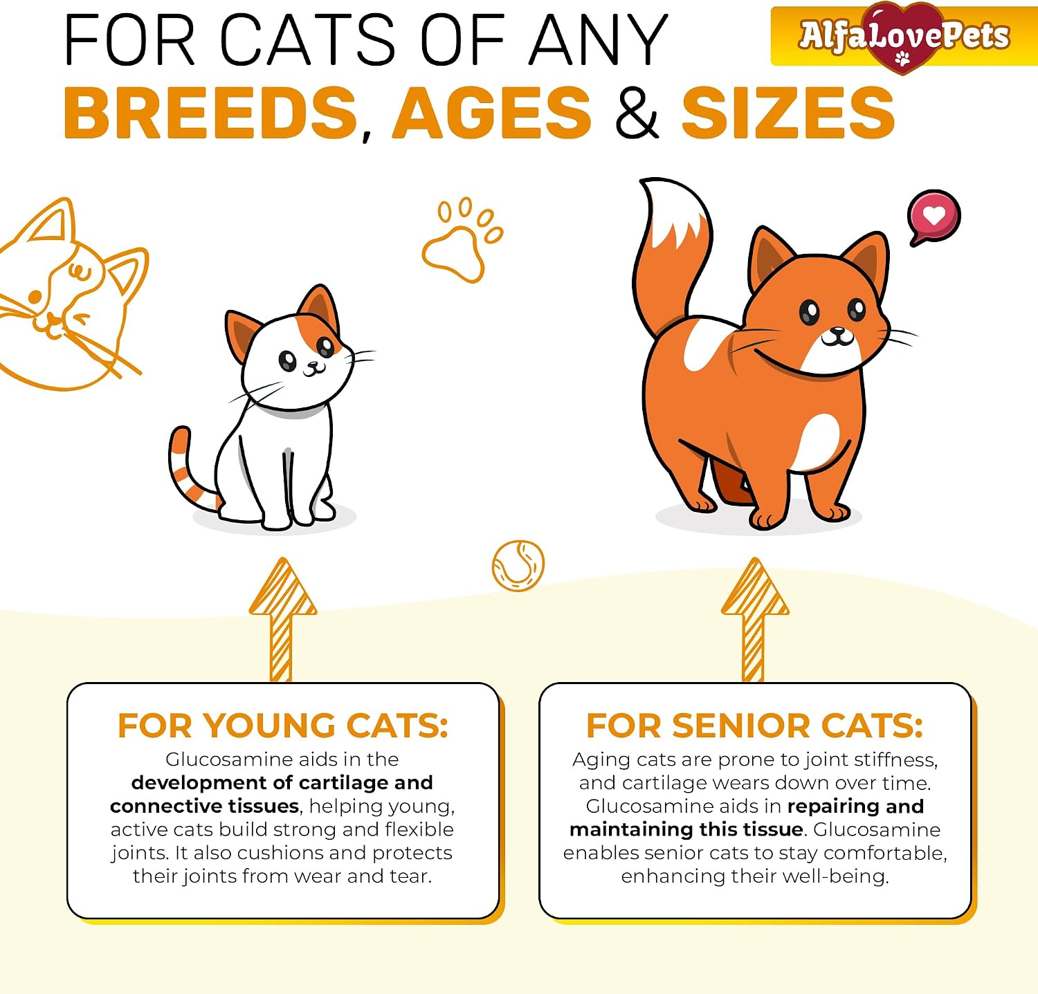 Natural chicken flavored joint supplement for cats