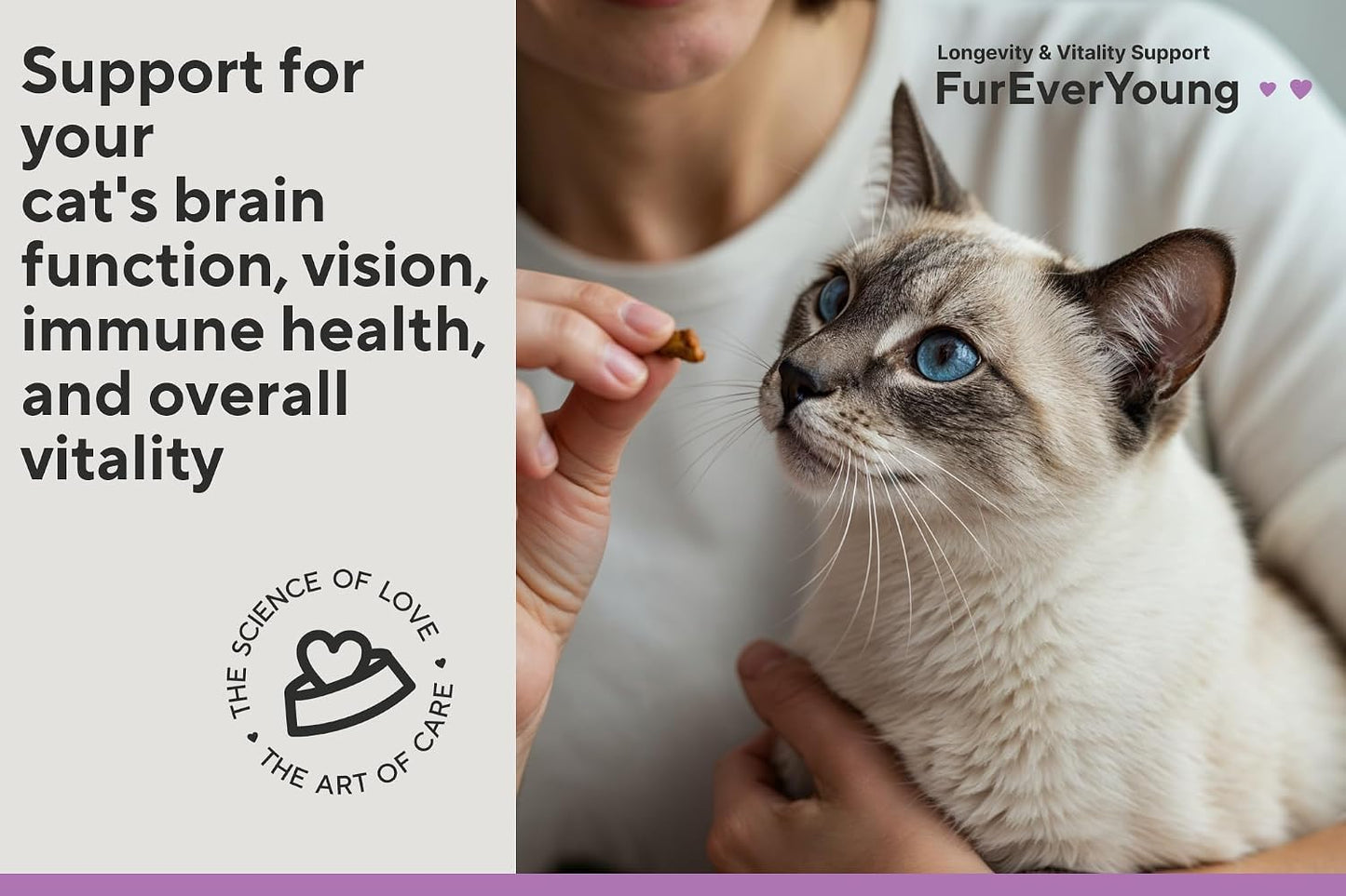 CareFurEver feline brain and vision support treats packaging showcasing the 30 days supply emblem.