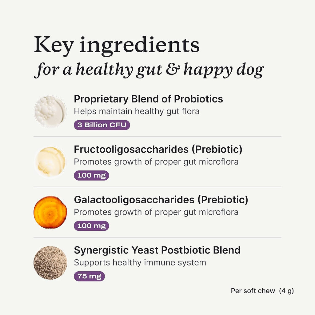 Premium imported USA pet supplement for dog seasonal allergies and paw licking.